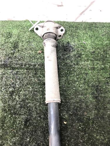 Amortiguador Trasero Derecho Seat Ibiza (6L1)(04.2002->) 1.9 TDI - Imagen 2